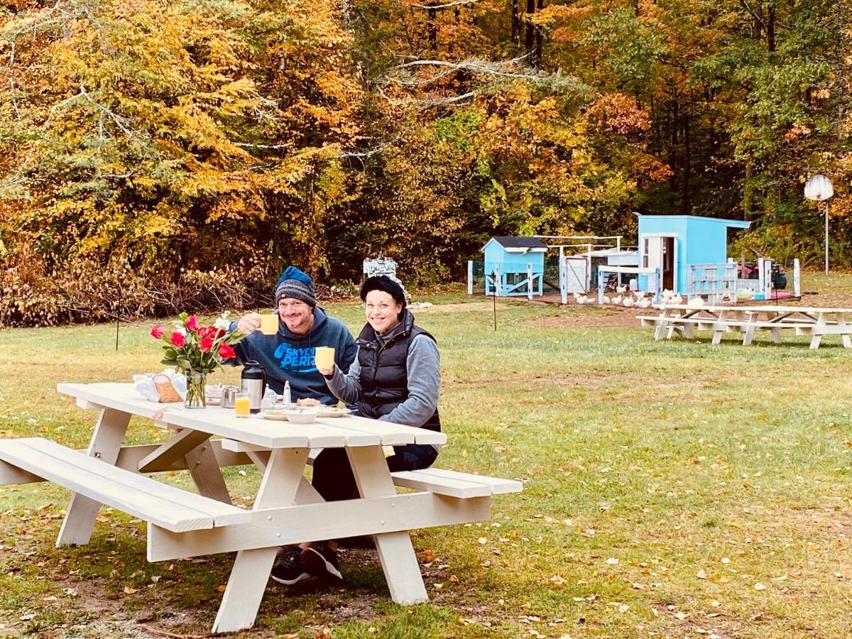 Arcady Mountain Motor Lodge Sunderland المظهر الخارجي الصورة