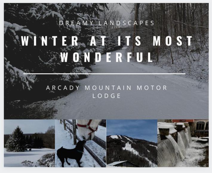 Arcady Mountain Motor Lodge Sunderland المظهر الخارجي الصورة